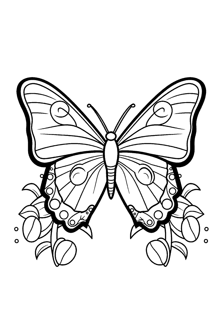 borboleta para colorir