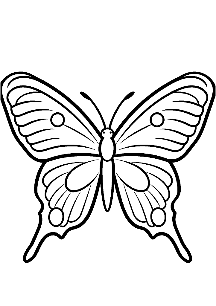 borboleta para colorir