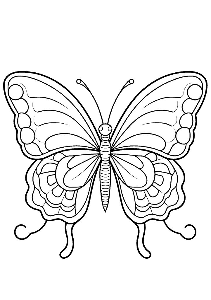 borboleta para colorir