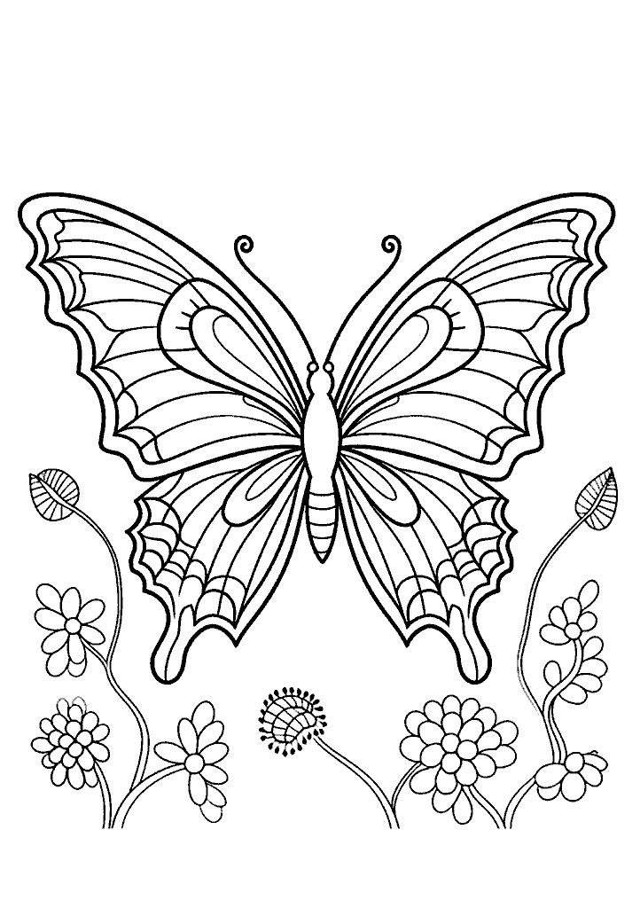 borboleta para colorir