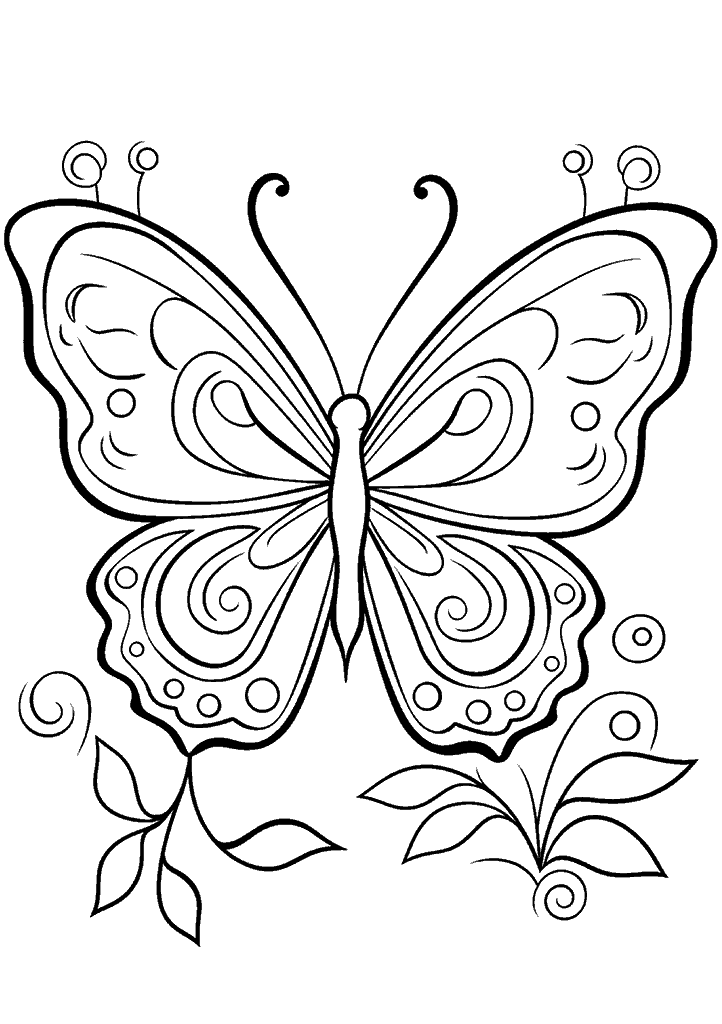 borboleta para colorir