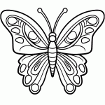 borboleta para colorir
