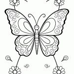 borboleta para colorir