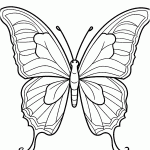 borboleta para colorir