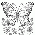 borboleta para colorir