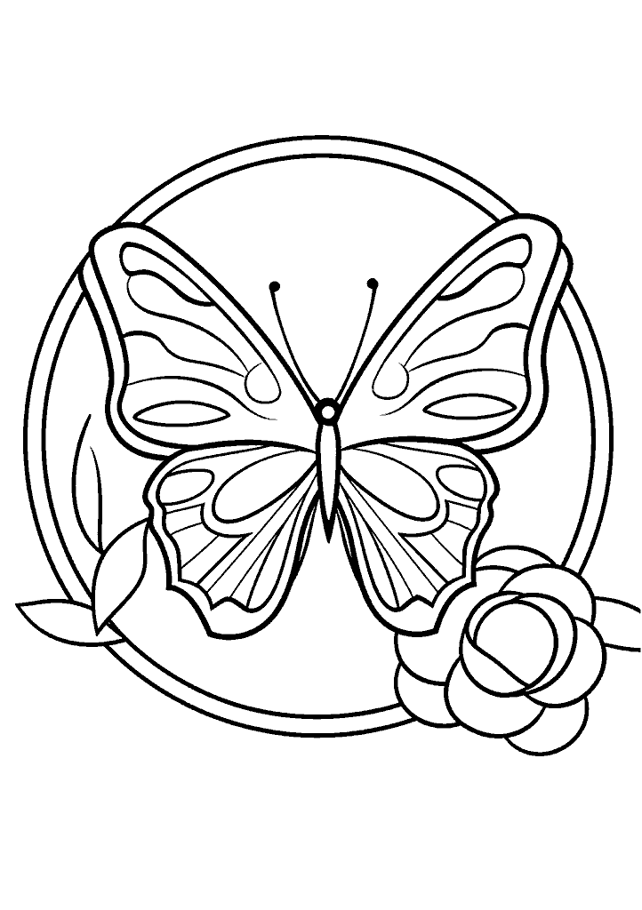 Borboleta Para Colorir 081 - Vem Colorir