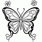 borboleta para colorir