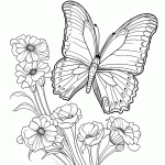 borboleta para colorir