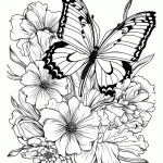 borboleta para colorir