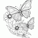 borboleta para colorir
