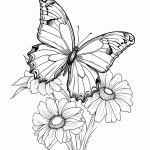 borboleta para colorir