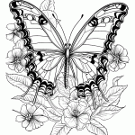 borboleta para colorir