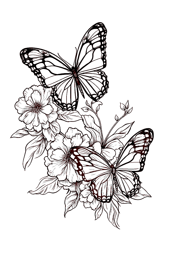 Borboleta Para Colorir 118 - Vem Colorir