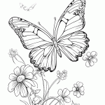 borboleta para colorir