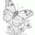 borboleta para colorir