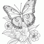borboleta para colorir