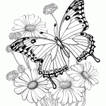 borboleta para colorir