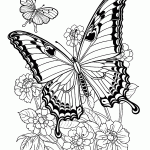 borboleta para colorir