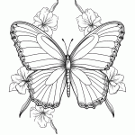 borboleta para colorir