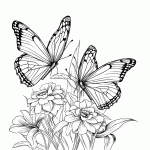 borboleta para colorir