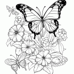 borboleta para colorir