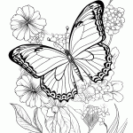 borboleta para colorir