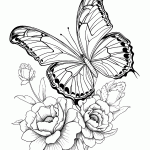 borboleta para colorir