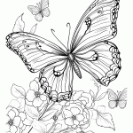 borboleta para colorir
