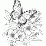 borboleta para colorir
