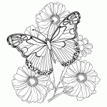 borboleta para colorir