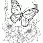 borboleta para colorir