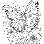 borboleta para colorir