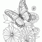 borboleta para colorir