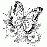 borboleta para colorir