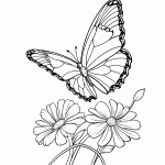 borboleta para colorir