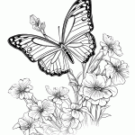 borboleta para colorir