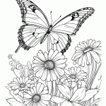 borboleta para colorir