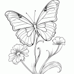 borboleta para colorir