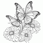 borboleta para colorir