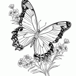 borboleta para colorir