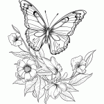 borboleta para colorir
