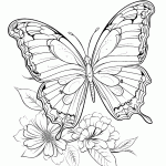 borboleta para colorir