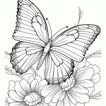 borboleta para colorir