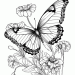 borboleta para colorir