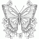 borboleta para colorir