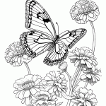 borboleta para colorir