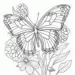 borboleta para colorir