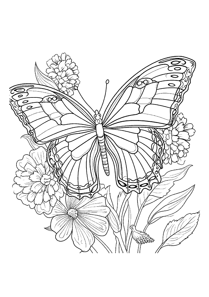 Borboleta Para Colorir 195 - Vem Colorir