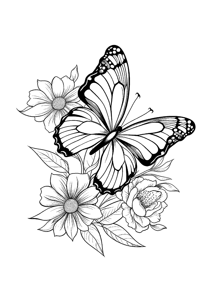 Borboleta Para Colorir 197 - Vem Colorir