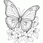 borboleta para colorir